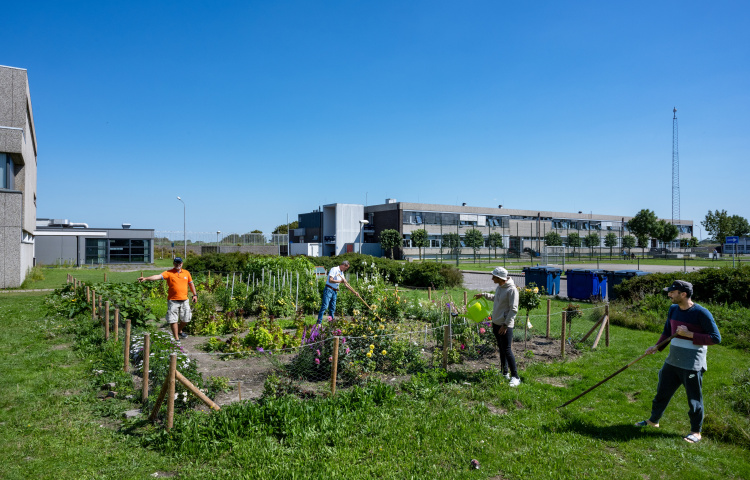 Bewoners van een azc werken in de moestuin