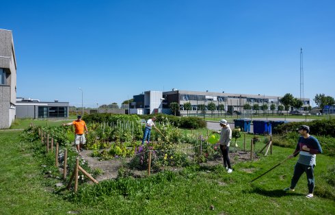 Bewoners van een azc werken in de moestuin