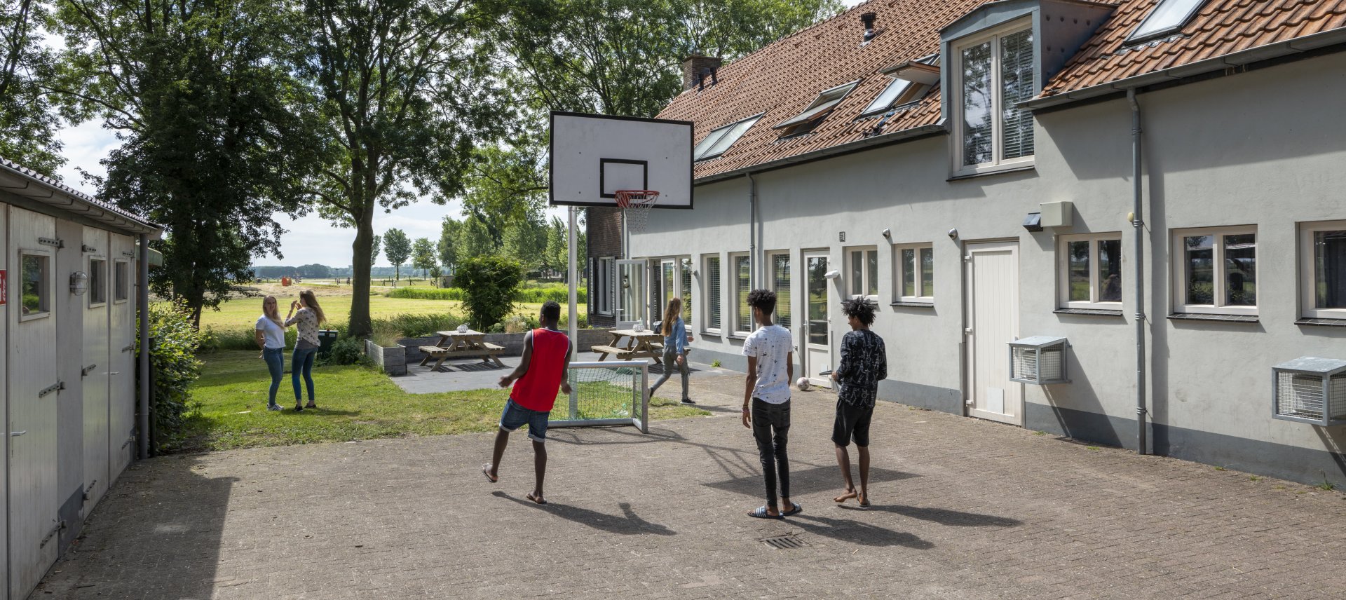 Basketbalspelers
