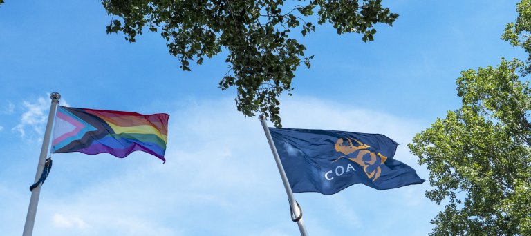 progressvlag en coa clag