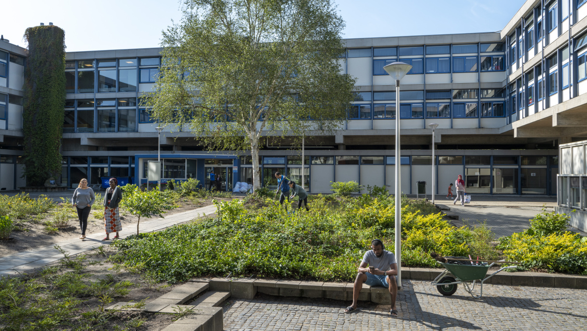 mensen in de tuin van azc Assen