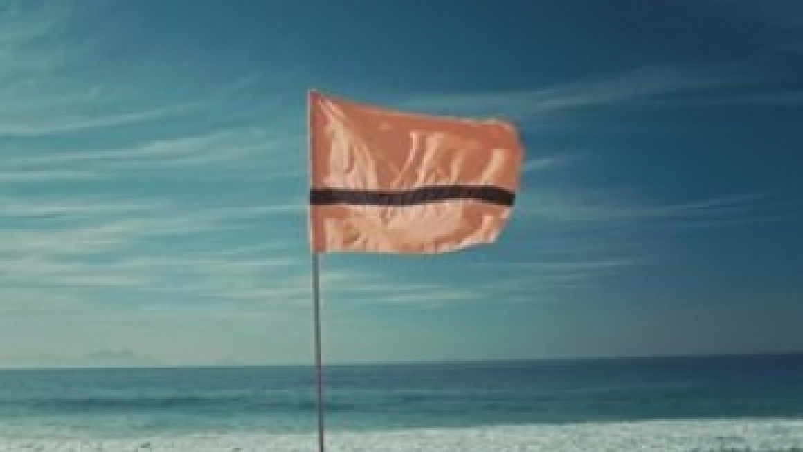 vlag wappert op het strand