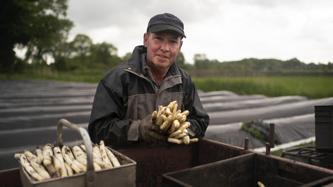 Statushouder aan het werk bij aspergeteler Slaghekke