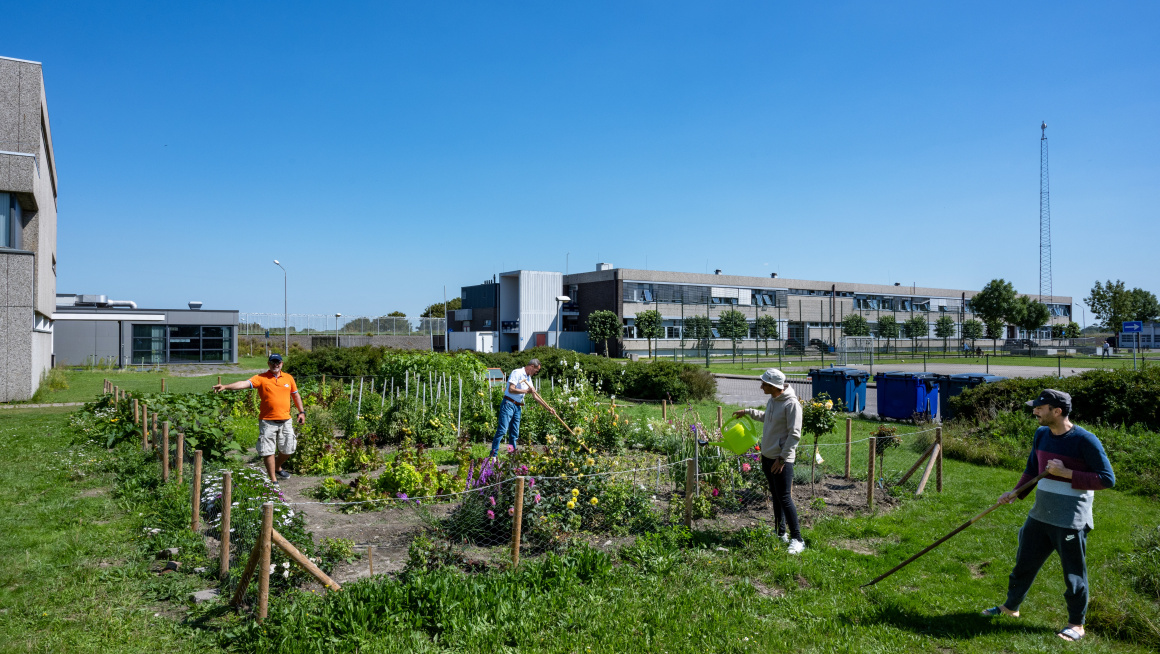 Bewoners van een azc werken in de moestuin