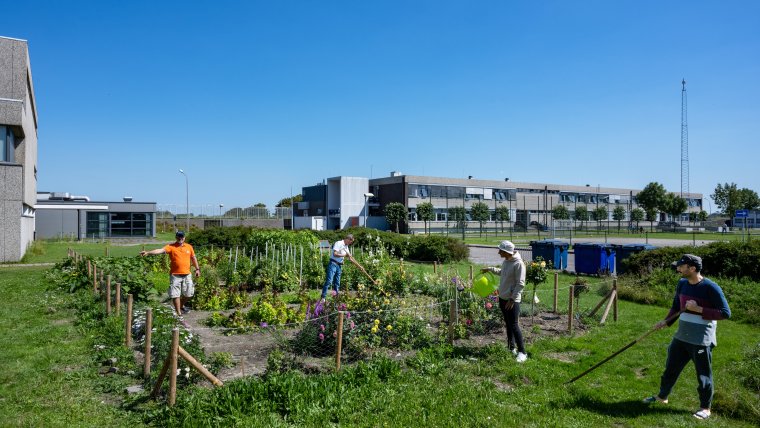 Bewoners van een azc werken in de moestuin