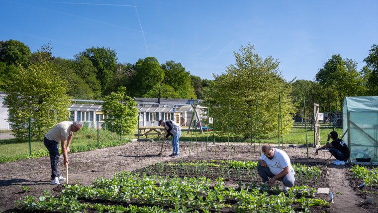 4 bewoners werken in de moestuin van coa locatie Rijsbergen