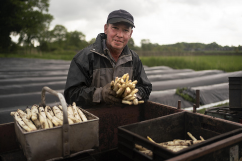 Statushouder aan het werk bij aspergeteler Slaghekke