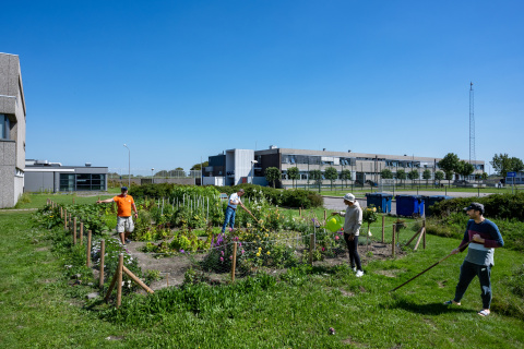 Bewoners van een azc werken in de moestuin