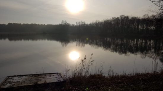 Zon boven visvijver 't Tipke